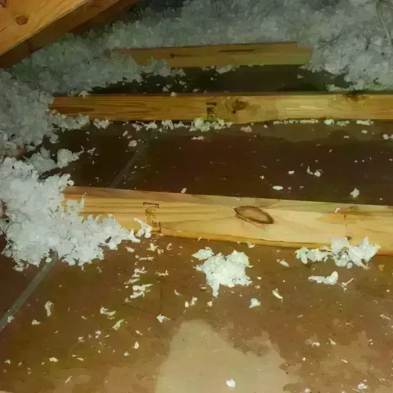 Attic Water Damage in Fort Worth, TX