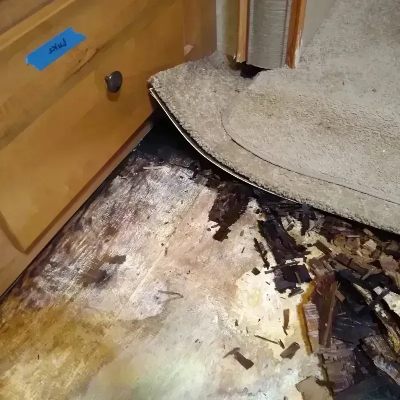 Wood Floor Water Damage in Fort Worth, TX